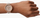 Orë dore Fossil Jacqueline Multifunction ES5097