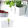 Vazo barishtesh Prosperplast Twins Cube, 2.5L, me gërshërë Herbs Cut, e bardhë