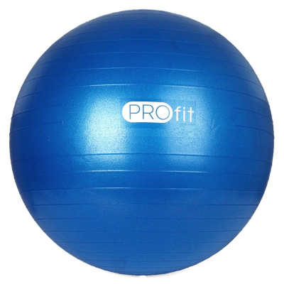 Top fitnesi Profit DK 2102, 65cm, me pompë, gri