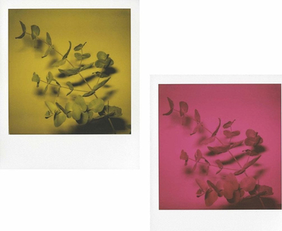 Blic për kamera Polaroid SX-70, Originals Mint Flashbar, llampë blici, e bardhë