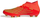 Atlete Adidas, 1911172-23760466