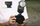 Blic aparat fotografik Neewer Z2 N TTL, Speedlite, për Nikon, i zi
