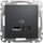 Prizë karikimi Schneider Electric Sedna Design, USB A dhe USB C 2.4A, black anthracite