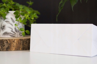 Qese letre NC Envelopes PAPER BAG, 24 x 10 x 32 cm, 100 g/m², të bardha