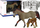 Set lodrash Boti Capricorn Breed Horse, kalë me këlysh, me aksesorë