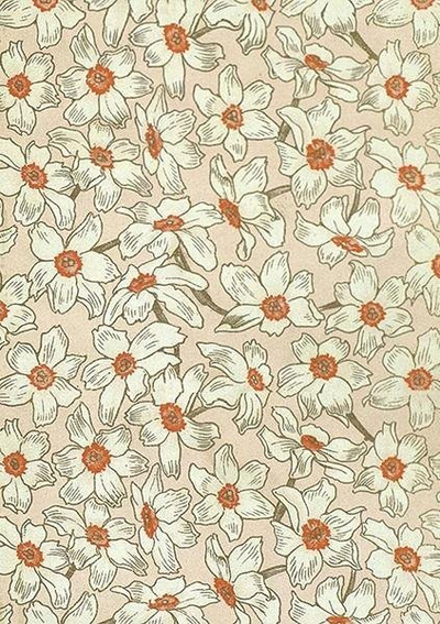 Картичка со плик Narcissus ST480 B6, без текст, многубојна