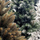 Pemë artificiale Krishtlindjesh Springos Premium Diamond Pine, 180cm, me borë, jeshile