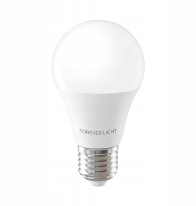 Llambë LED Forever Light E27 A55, 4W, 480 lm, dritë e ftohtë 6000K
