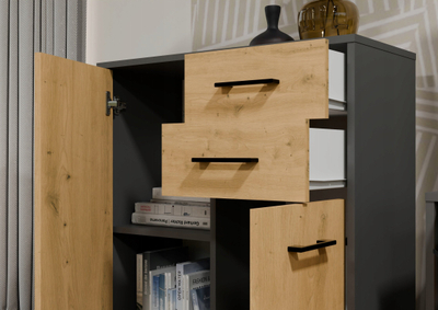 Kredencë Simplo SIDEBOARD 2D2S, 2 sirtarë, 2 dyer, antracit dhe lis Artisan