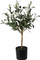 Bimë artificiale OLIVE TREE, 66 cm, DH 16x66 cm, e gjelbër