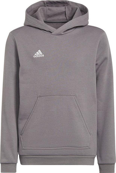 Duks Adidas Entrada 22 për çuna, 152 cm, gri