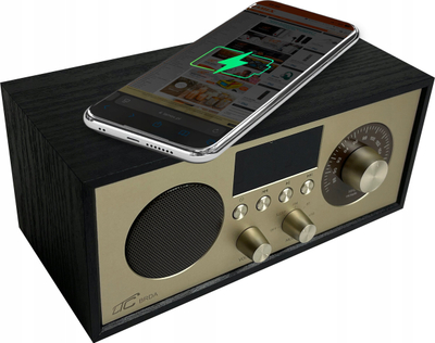 Radio portative LTC BRDA, Bluetooth, FM, karikim wireless 10W, zi ari
