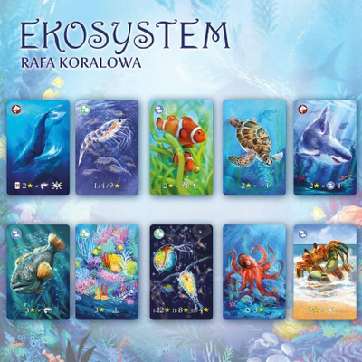 Lojë me letra Nasza Księgarnia Ecosystem 2 Coral Reef, familjare, version polak