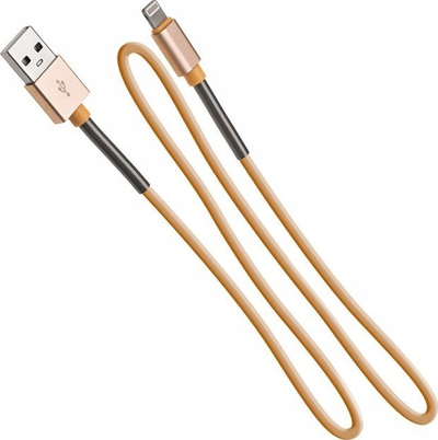Kabllo karikimi AMiO 01432, USB në Lightning, 1 m, ngjyrë e artë