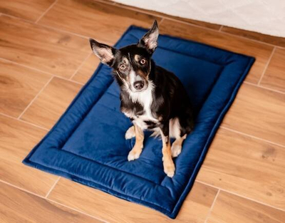 Tapet kadife për qen Velvet Mat, 100x70 cm, blu e errët