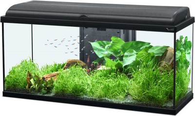 Dekorim akuariumi Zolux Aquatic modeli 1, i hirtë