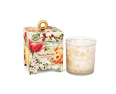 Qiri aromatik Michel Design Works 164 g