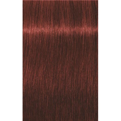 Ngjyrë për flokë Schwarzkopf Igora Royal Apsolute, 6-80, 60 ml