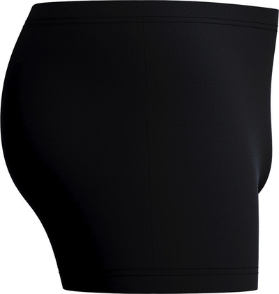 Rroba banje burra Speedo Medley Logo Aquashort, rezistente ndaj klorit, të zeza gri