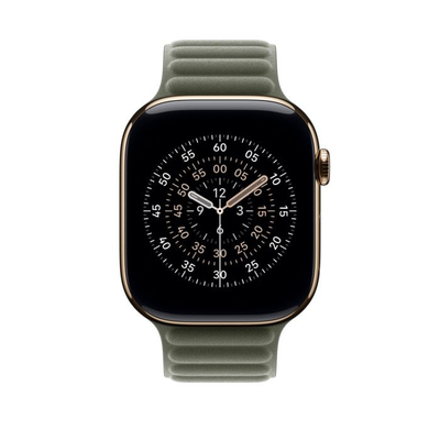Apple Watch 46mm Magnetic Link, Sage Gray Magnetic Link, M/L