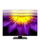 Monitor ASUS ProArt, 32", IPS, 4K UHD, i zi