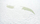 Dyshek bebesh Sensillo Latex Foam Coconut, 140x70 cm, Aloe Vera