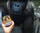 Shirit ngjitës Gorilla Waterproof Patch &amp; Seal, 100mm x 3m, i bardhë