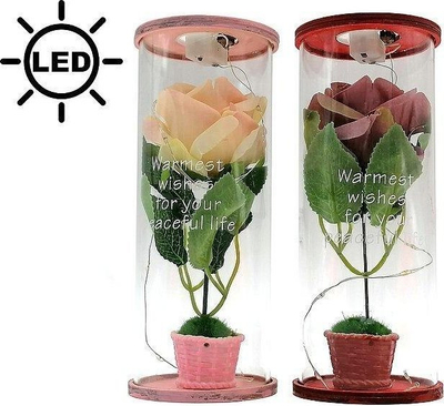Dekoratë trëndafil me LED, në tub transparent, MIX ngjyra