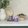 Qiri aromatik Yankee Candle Signature Stargazing, 567 g, 90 orë djegie, kavanoz qelqi