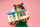 Set lodër LEGO Friends Bakery with Treats for Dogs 42677, për fëmijë, shumëngjyrësh
