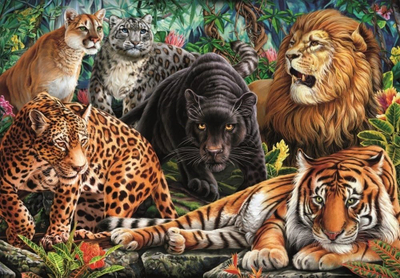 Puzzle Clementoni Wild Cats, 500 copa, me mace të egra, shumëngjyrësh