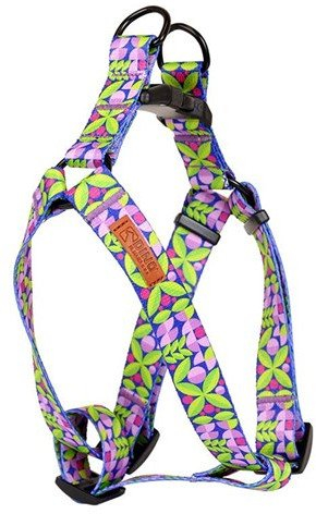 Shkop i rregullushem per qen IVO, shirit 25mm, 60-90cm, me gjethe