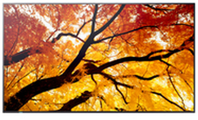 Eкран професионален Sharp MultiSync M862, 86\", 4K Ultra HD, 550 cd/m², црн