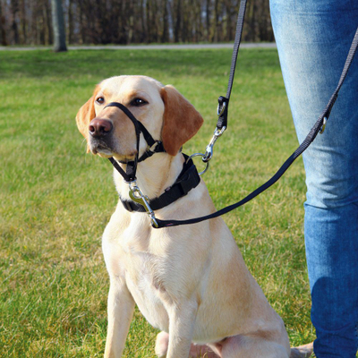 Trixie Top Trainer Training Harness, XL, Црна