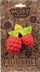 Lodër për kafshim Oli &amp; Carol Valery the Raspberry, gomë natyrale, pa BPA, e kuqe