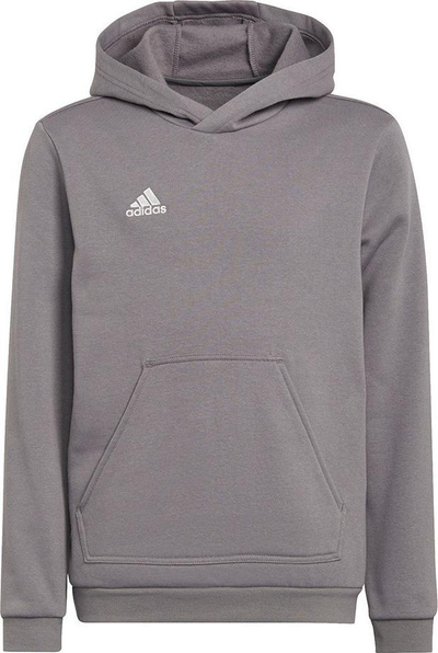 Bluzë me kapuç Adidas Entrada 22 Jr H57515, pambuk poliester, me xhep kangur, gri