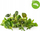 Pods barishtesh Click &amp; Grow Italian Herb Mix, set me 9 copa, për kopsht inteligjent