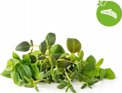 Pods barishtesh Click &amp; Grow Italian Herb Mix, set me 9 copa, për kopsht inteligjent