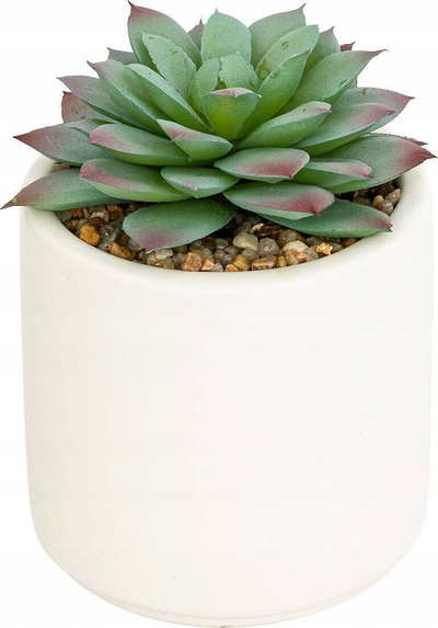 Dekor bimë artificiale NILS Mix Succulents, 12 cm, vazo qeramike e bardhë