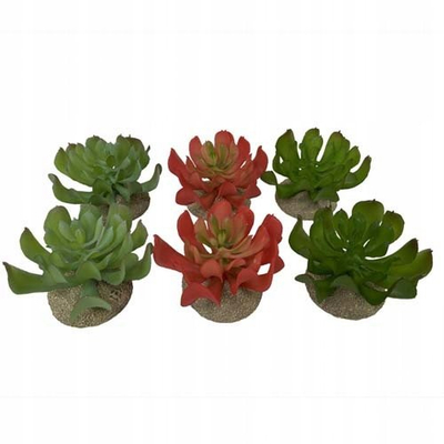 Bimë artificiale për terrarium Terra Della Echeveria, dekorative, jeshile