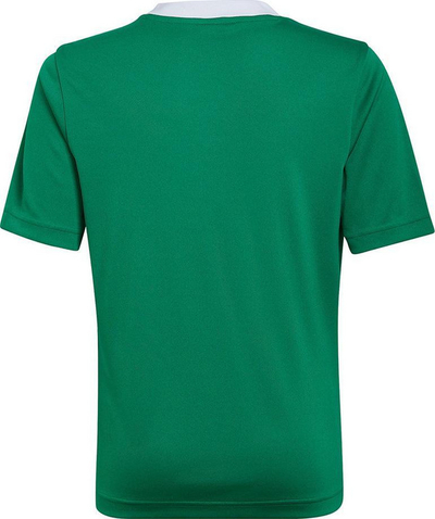 Fanellë futbolli adidas Entrada 22 Jersey Jr HI2126, për fëmijë, poliestër, e bardhë
