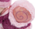 Lodër pellushi Nici Cosy Winter Snail Soa, 22cm, material i ricikluar, rozë
