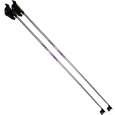 Shkopinj skish nordike LEKI Rental CC, alumin HTS 6.0, 120 cm, gri