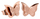 Vathë Troli Metal Butterfly KES-048-ROSEGOLD