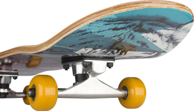 Skateboard për kalamaj Black Dragon Street Natives, 8 shtresa panje, rrota 54mm, shumëngjyrësh