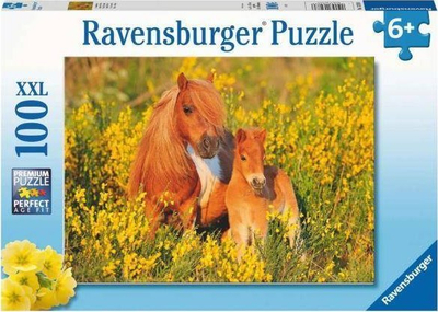 Puzzle Ravensburger Shetland Pony XXL, 100 pjesë, për fëmijë 6+