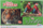 Puzzle Grafix Wildlife 2 in 1, 2x1000 pjesë, 50 x 70 cm, shumëngjyrësh