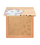 Bronzer Catrice Disney Maxi Matt Classics Marie, për fytyrë dhe trup