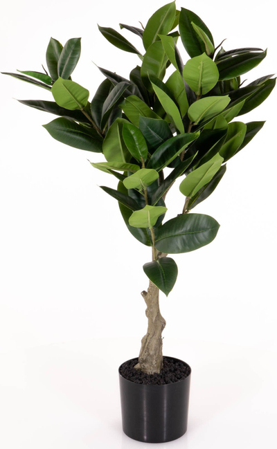 Bimë artificiale Present Time Rubber Tree, dekorative, jeshile