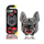 Aroma Dogs